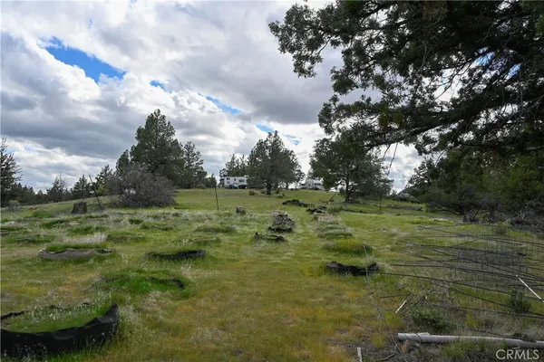 a view of a field with an trees