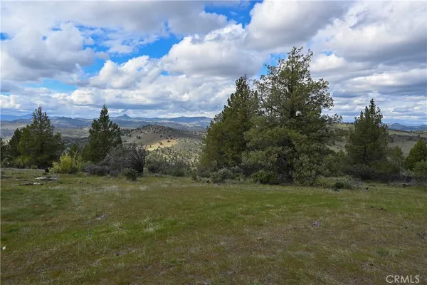 a view of a big yard