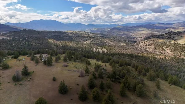 a view of a lot of trees and houses