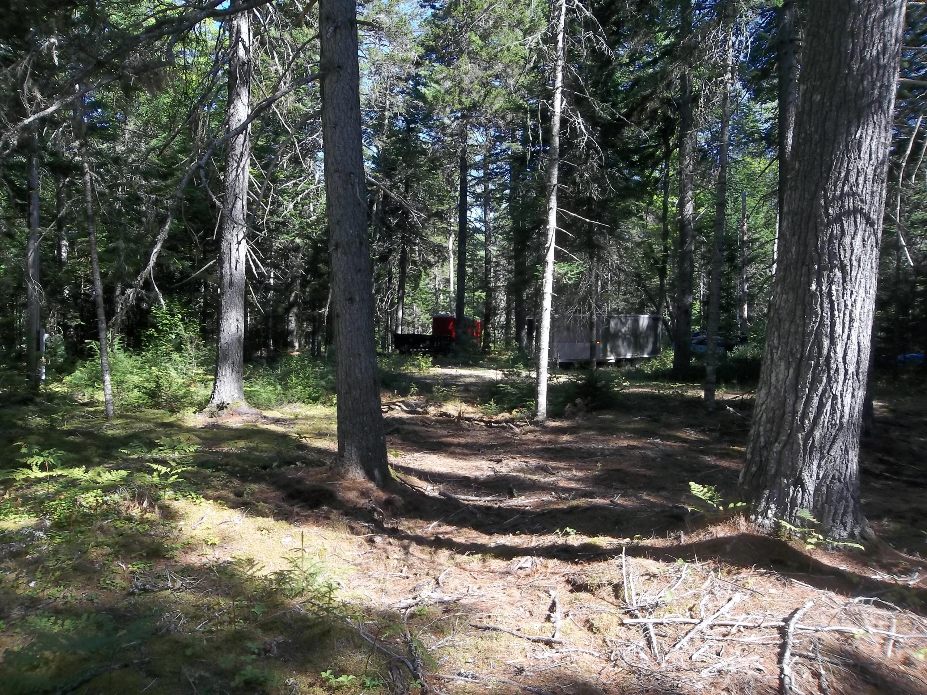 Lot 12 Hayward Point Road Wesley, ME 04686 - Photo 8 of 8