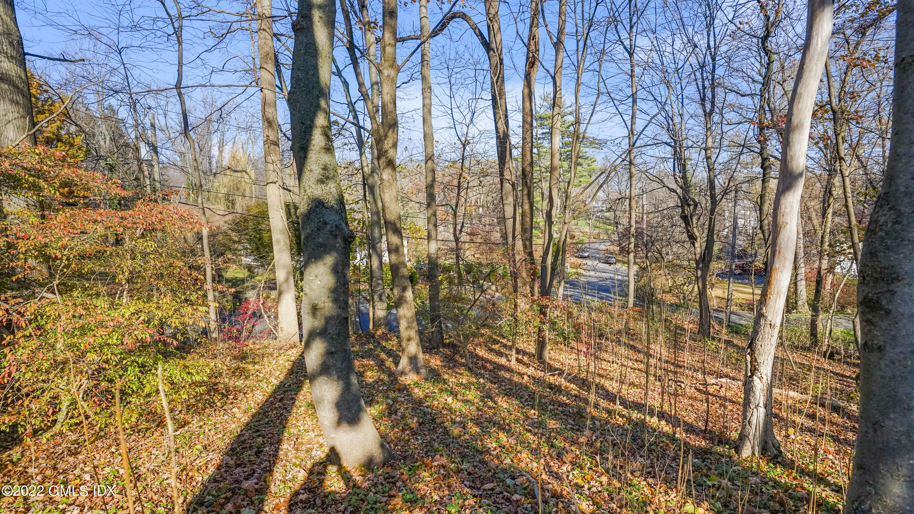 20 Hettiefred Road Greenwich, CT 06831 - Photo 8 of 10 20 Hettiefred Rd Greenwich CT-print-007-