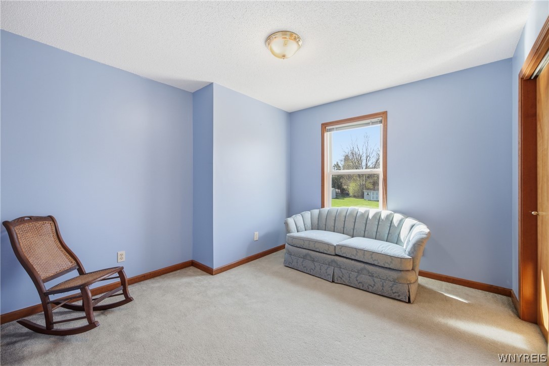 22 Ranch Trail Orchard Park, NY 14127 - Photo 27 of 46