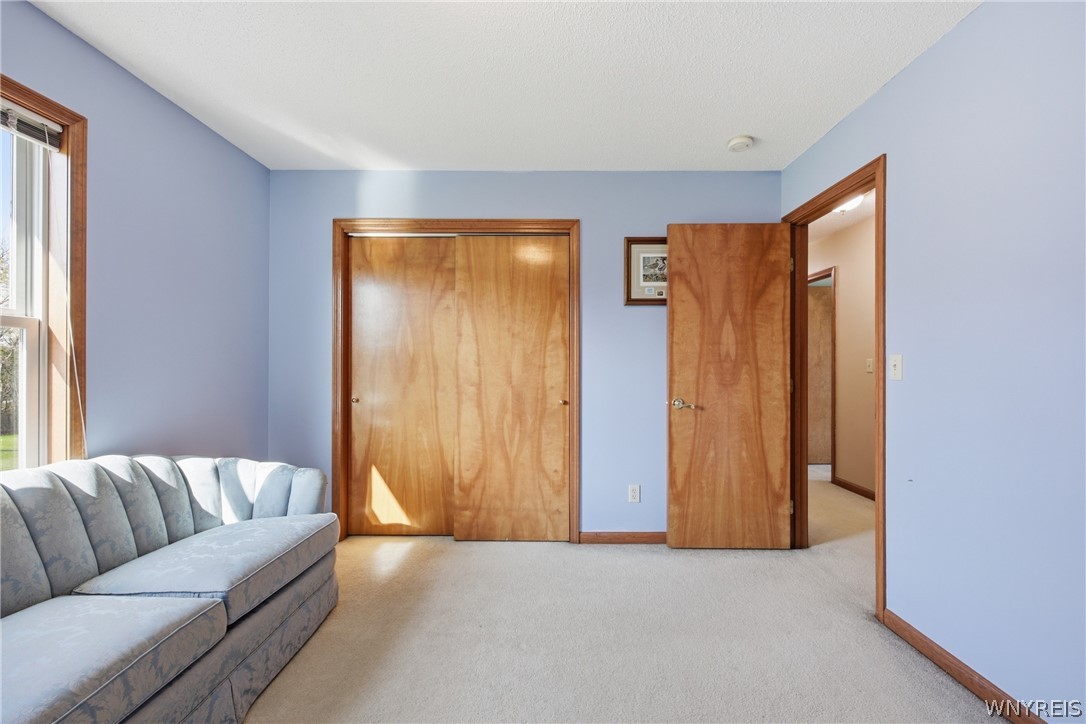 22 Ranch Trail Orchard Park, NY 14127 - Photo 28 of 46