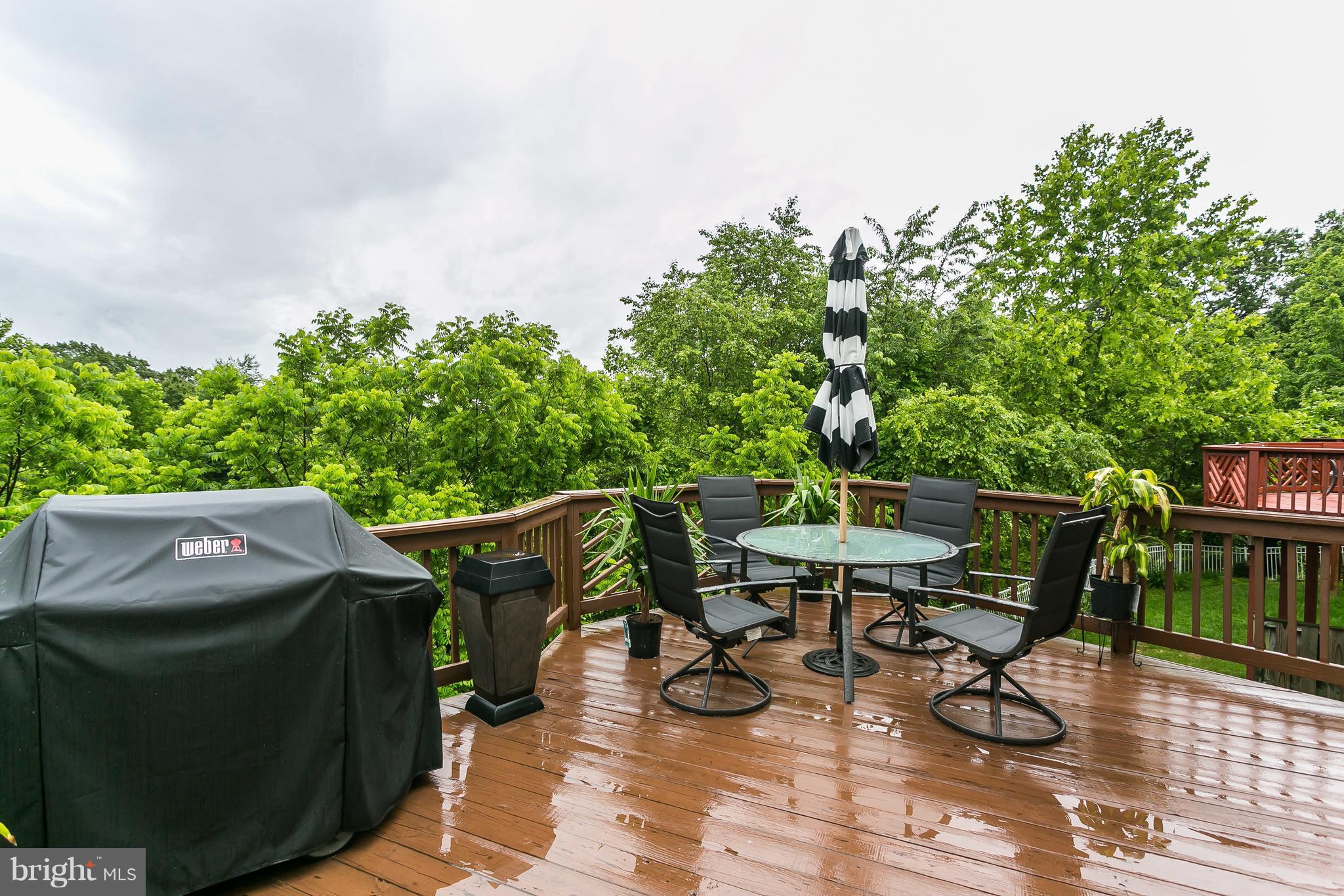 5143 Spring Willow Court Owings Mills, MD 21117 - Photo 13 of 29 Deck looking over wooded area - PRIVATE