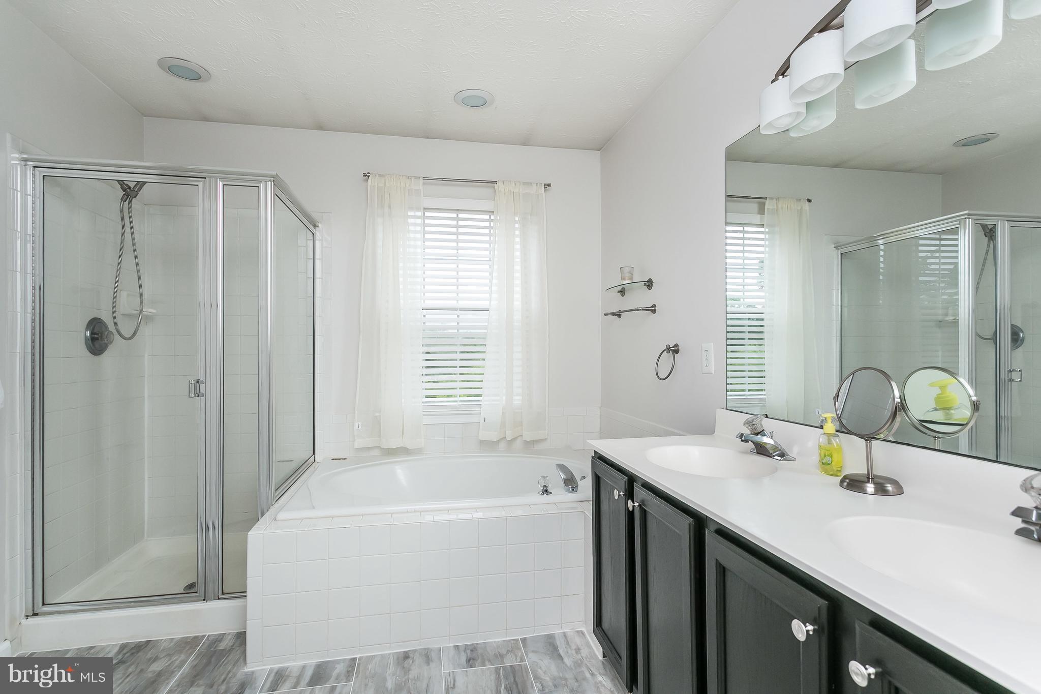 5143 Spring Willow Court Owings Mills, MD 21117 - Photo 17 of 29 Soaking Tub overlooking treetops and Sep Shower