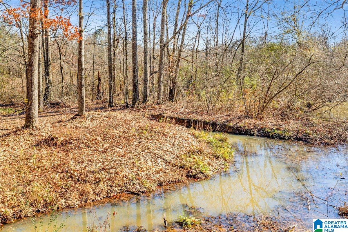 6606 Folsom Road McCalla, AL 35111 - Photo 30 of 53