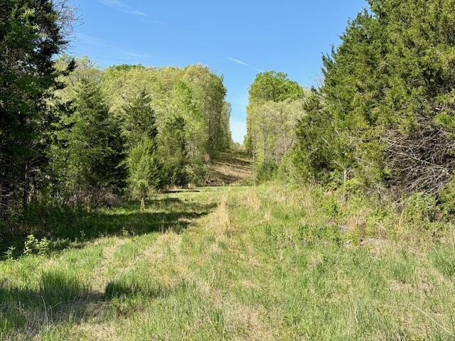 4515 Wallen Road Summersville, MO 65571 - Photo 13 of 74 IMG_5372