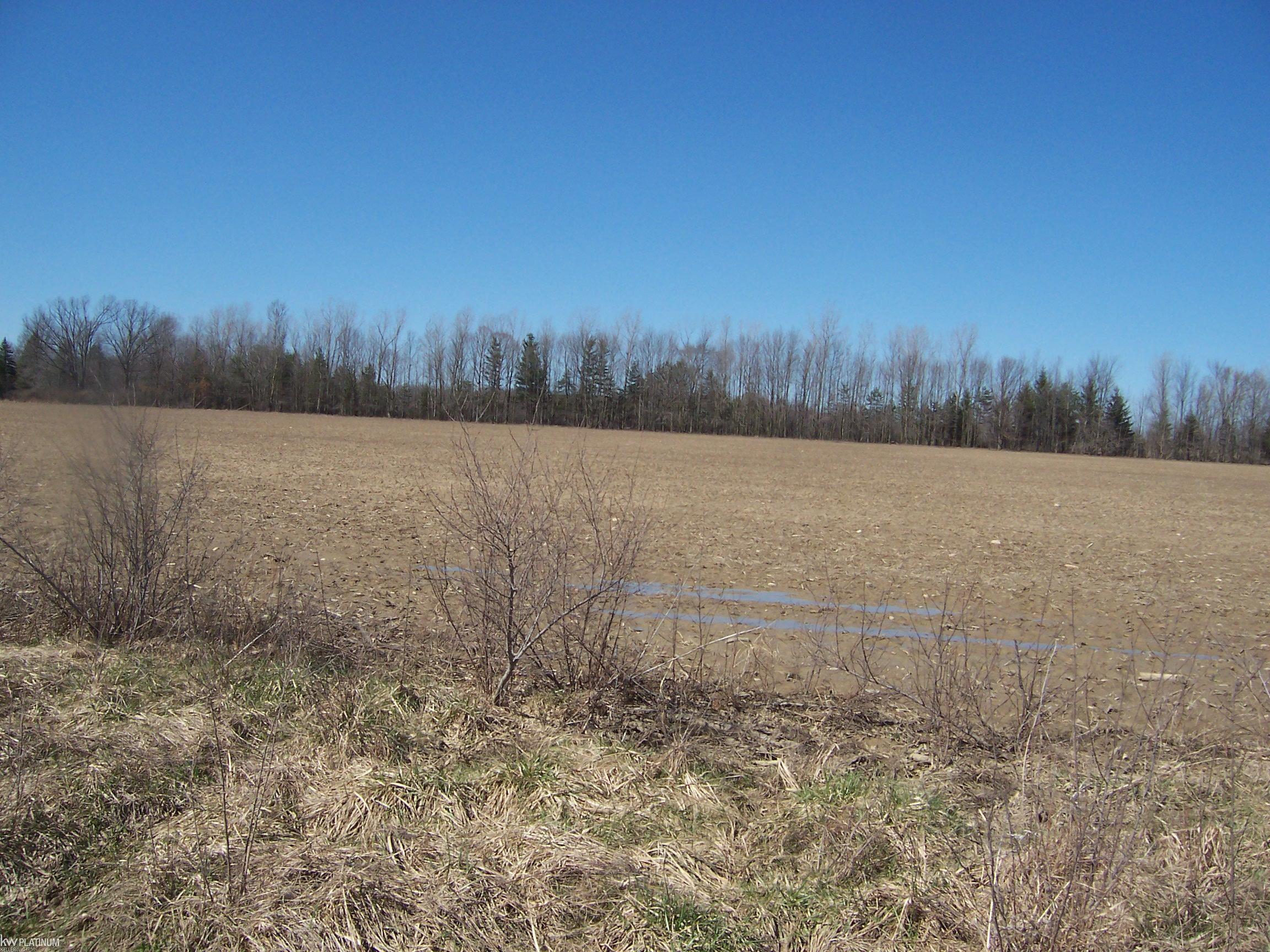 Lot 3 Beard Road Avoca, MI 48006 - Photo 2 of 2