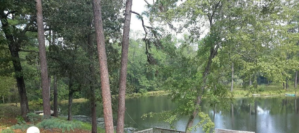 238 Indian Springs Road Aiken, SC 29801 - Photo 34 of 50 Gallery Image 34