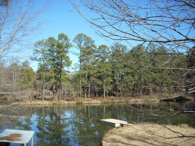 238 Indian Springs Road Aiken, SC 29801 - Photo 39 of 50 Gallery Image 39