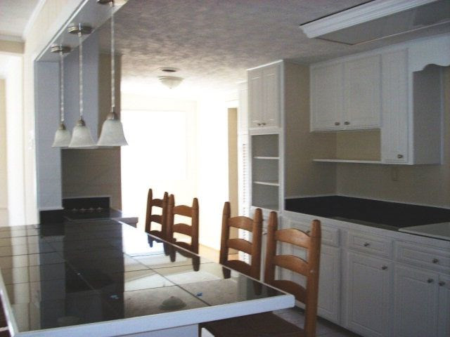 238 Indian Springs Road Aiken, SC 29801 - Photo 41 of 50 Gallery Image 41