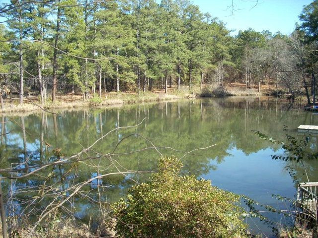 238 Indian Springs Road Aiken, SC 29801 - Photo 44 of 50 Gallery Image 44