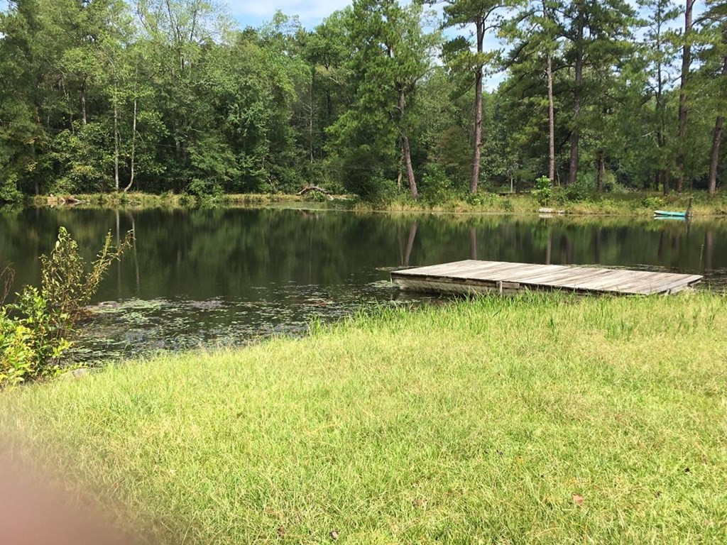 238 Indian Springs Road Aiken, SC 29801 - Photo 48 of 50 Gallery Image 48
