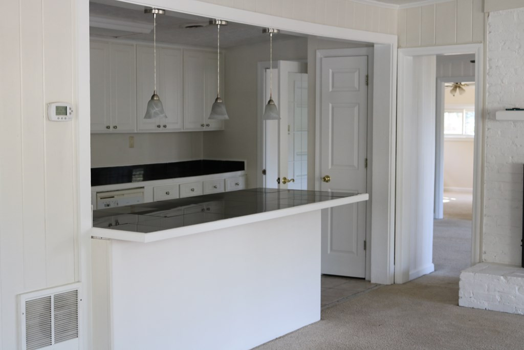 238 Indian Springs Road Aiken, SC 29801 - Photo 7 of 50 Gallery Image 7