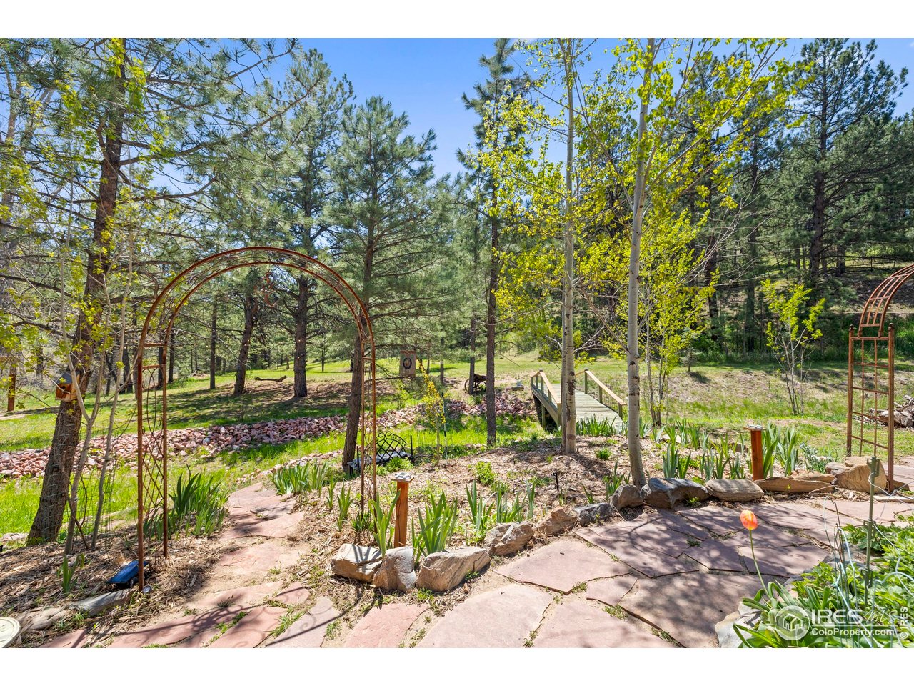 952 Skinner Gulch Road Loveland, CO 80537 - Photo 37 of 43 Perfect Setting for a Wedding