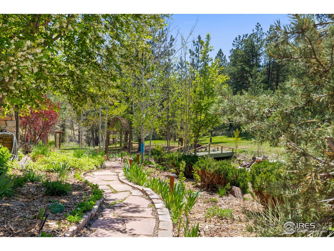 952 Skinner Gulch Road Loveland, CO 80537 - Photo 38 of 43 Perfect Setting for a Wedding