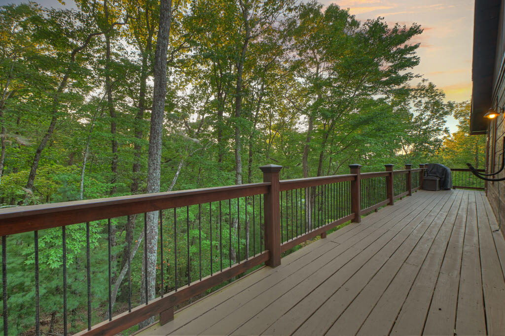 169 Walnut Mountain Road Ellijay, GA 30536 - Photo 69 of 77 Gallery Image 69