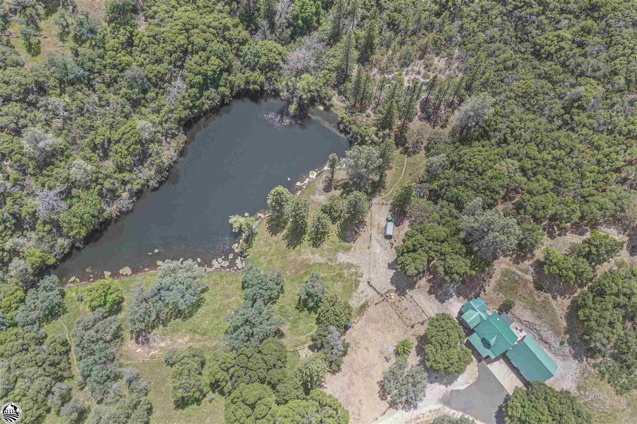 5833 Parrotts Ferry Road Vallecito, CA 95251 - Photo 5 of 58 Gallery Image 5