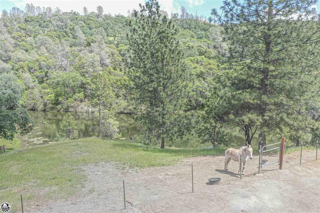 5833 Parrotts Ferry Road Vallecito, CA 95251 - Photo 8 of 58 Gallery Image 8