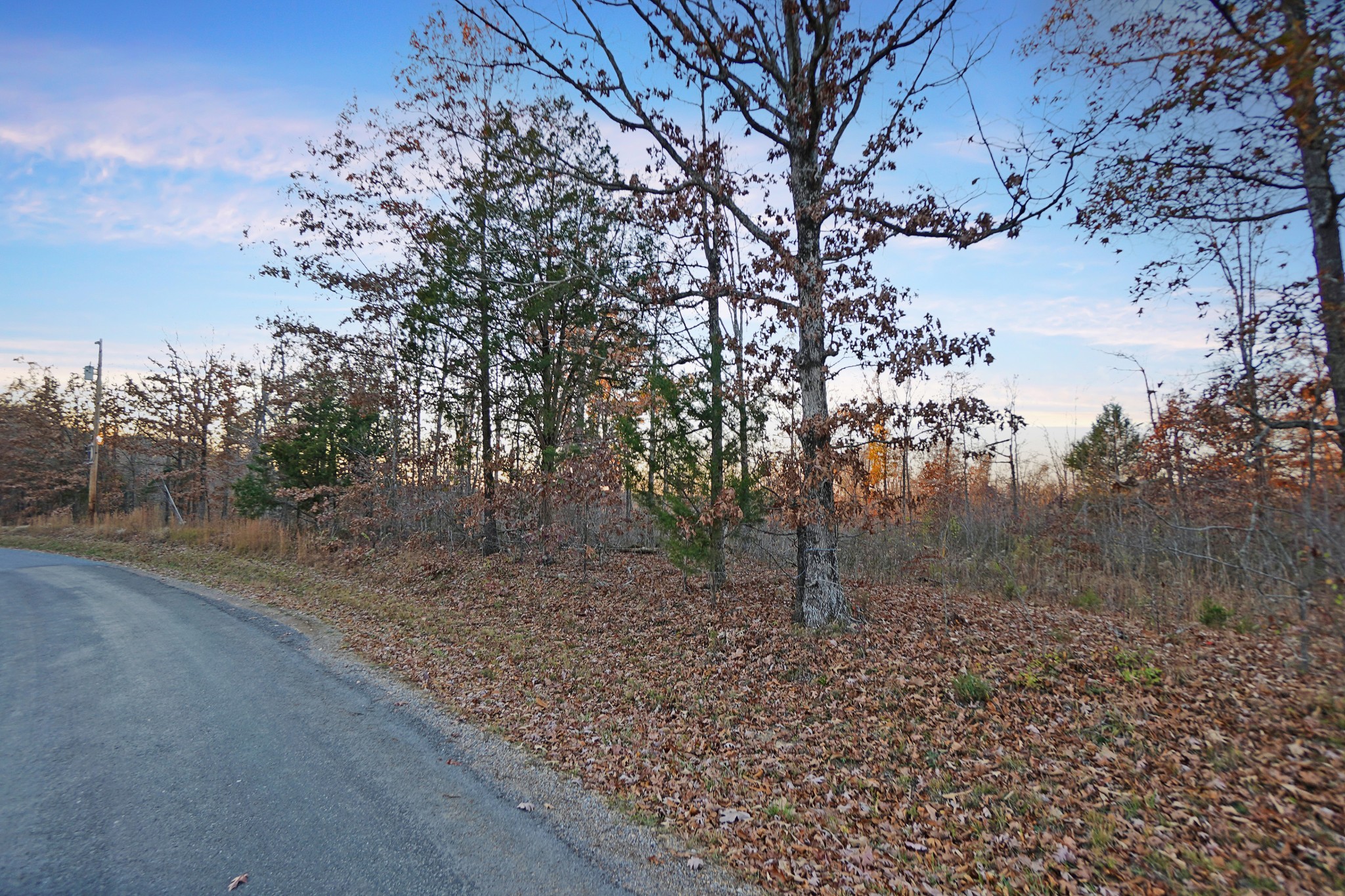 0 Herman Clark Road Erin, TN 37061 - Photo 8 of 13 Gallery Image 8