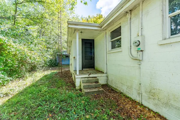 a backyard of a house with large trees and plants