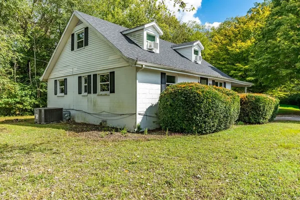 a view of a garden with large trees