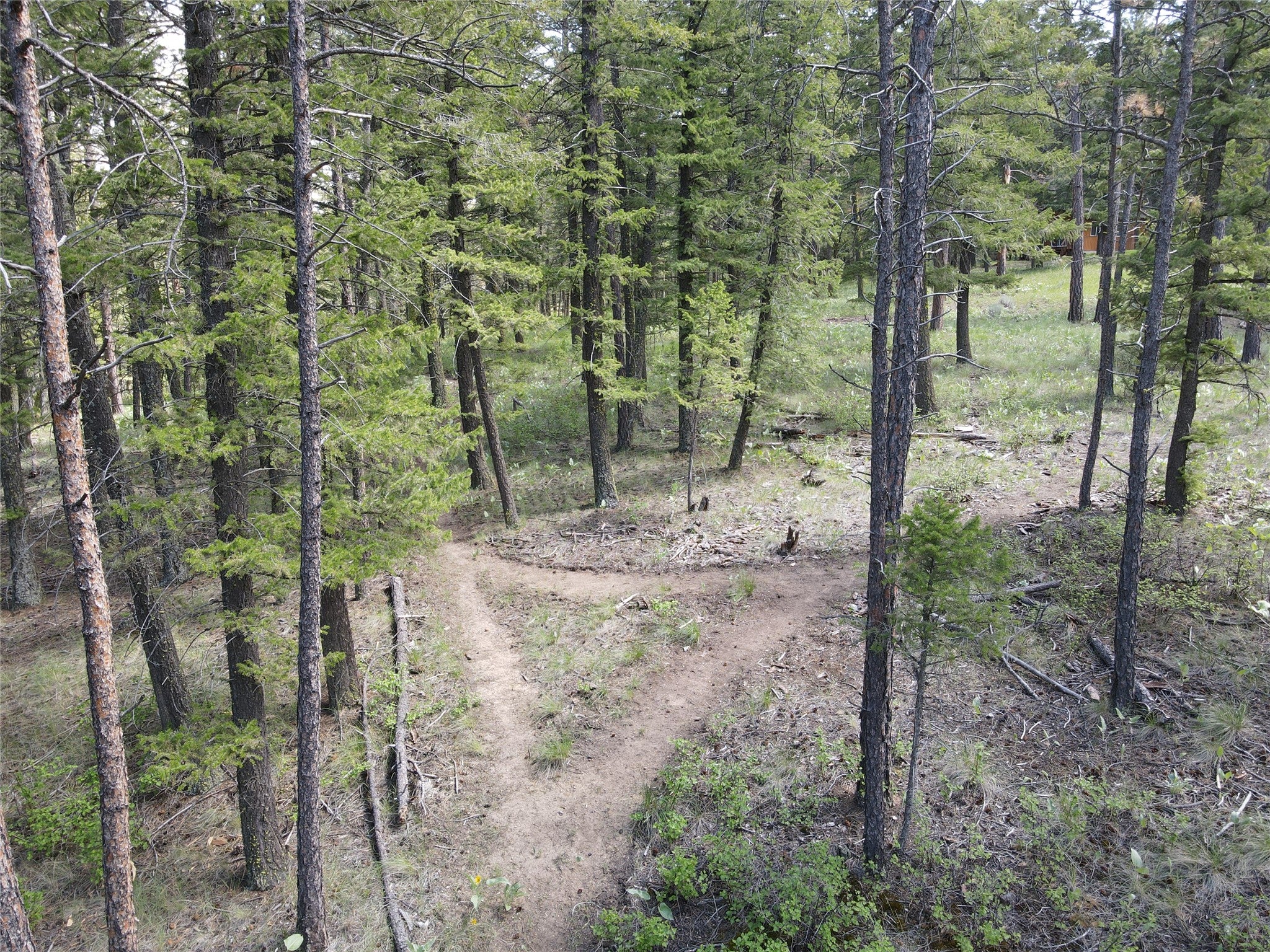 9420 Mormon Creek Road Lolo, MT 59847 - Photo 60 of 69 Gallery Image 60
