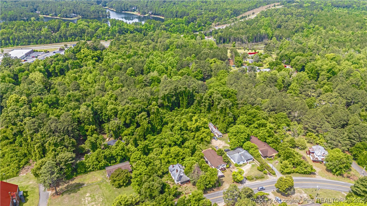 8212 Main Street West End, NC 27376 - Photo 10 of 36 a view of a lush green forest with lots of trees