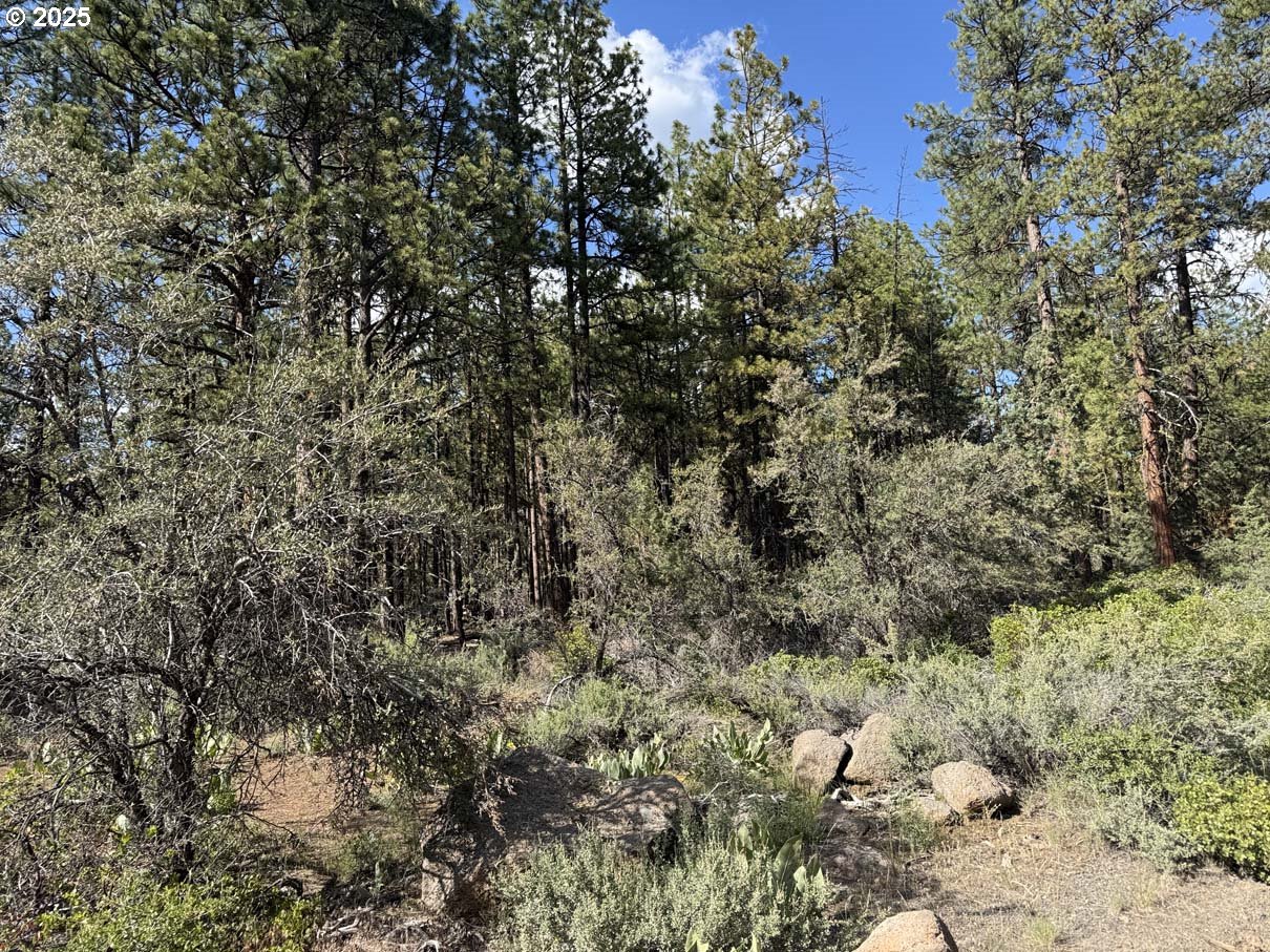Thunder Bear Road, Unit 46 Bonanza, OR 97623 - Photo 8 of 48