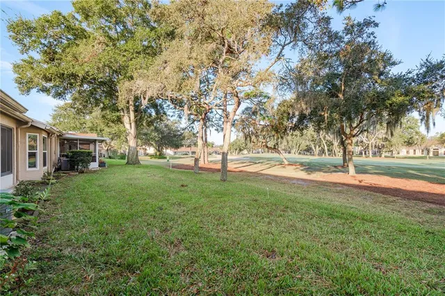 a view of yard with tree s