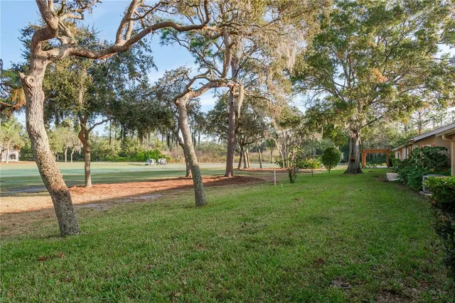 a view of a tree in front of a house