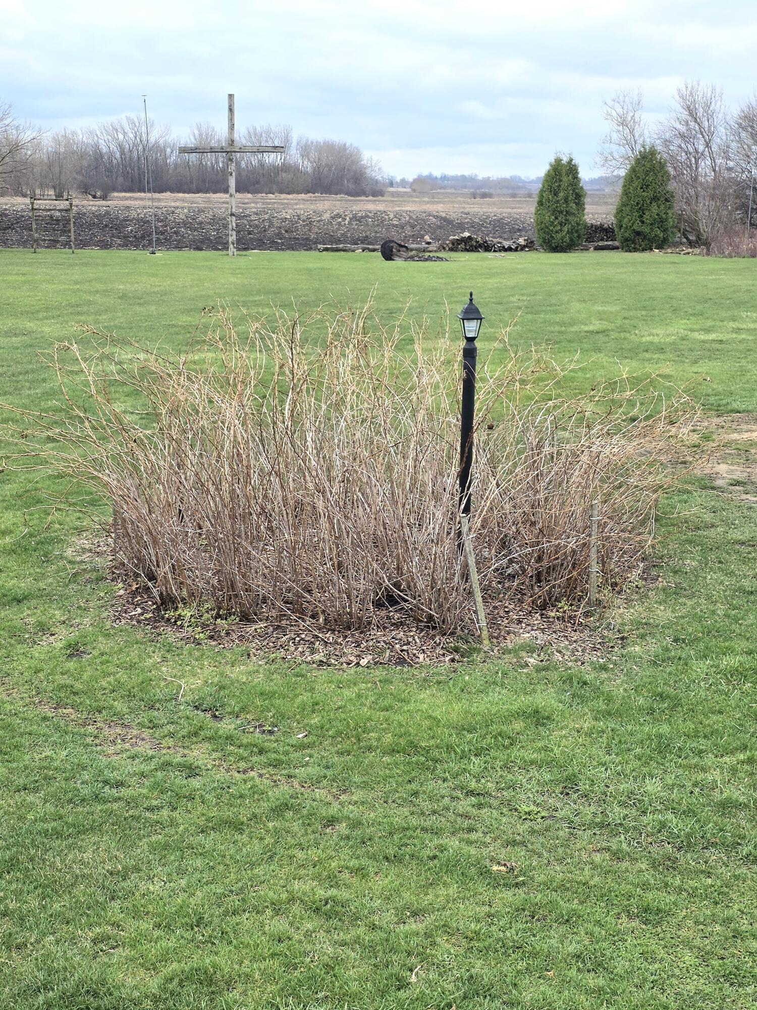 10741 Spring Street Mount Pleasant, WI 53177 - Photo 10 of 48 Raspberry Patch