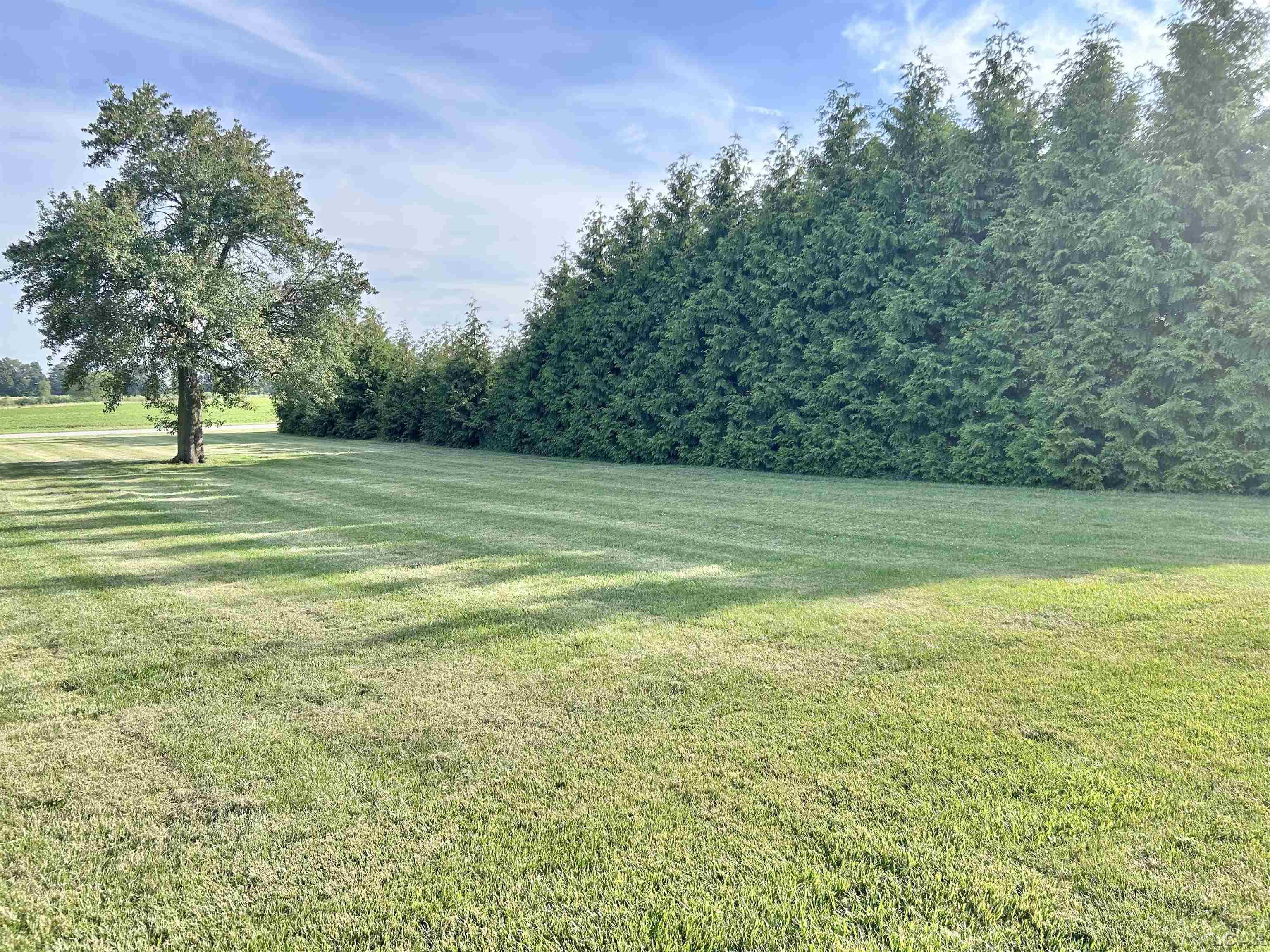 13776 Wabash Road Morenci, MI 49256 - Photo 5 of 25