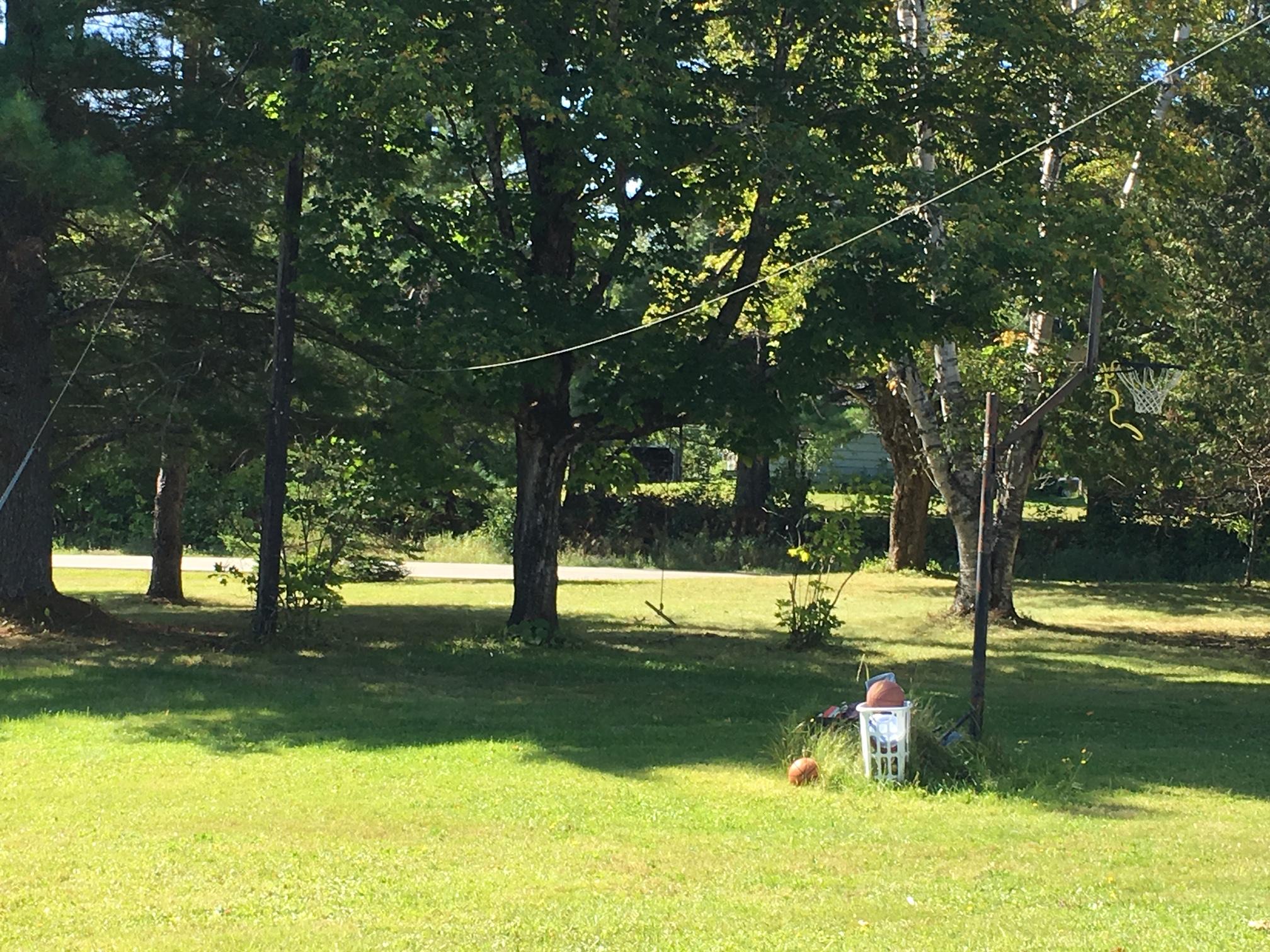 723 Washburn Road Washburn, ME 04786 - Photo 26 of 27 yard