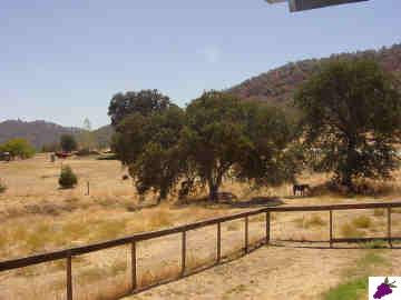 28620 Burrough Valley Road Tollhouse, CA 93667 - Photo 4 of 7 Gallery Image 4