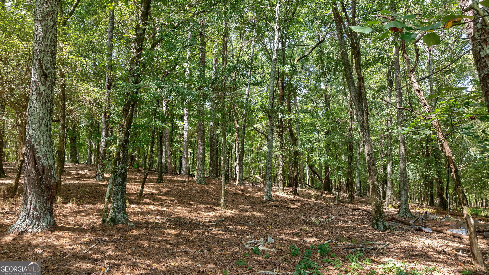 1160 Middlebrook Road Watkinsville, GA 30677 - Photo 37 of 42 Gallery Image 37