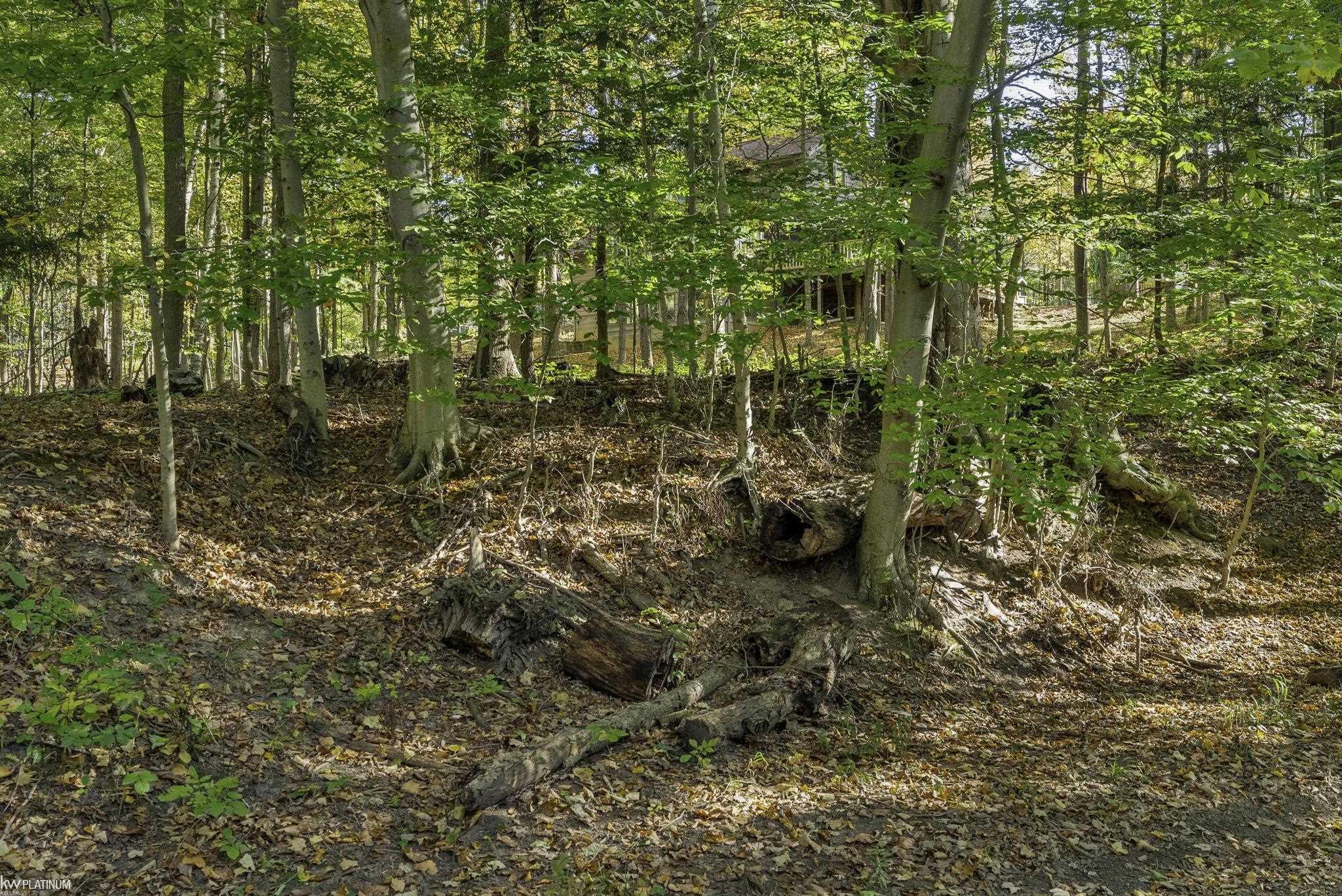 6275 Burns Line Road Croswell, MI 48422 - Photo 62 of 62 50157768-999dc1e3-cc6e-44d8-86fe-af0a8be3df83.JPG