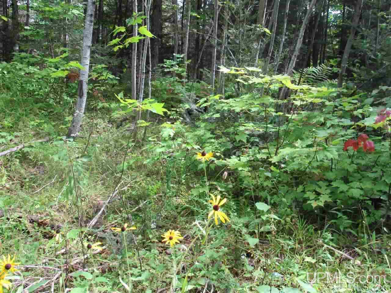 Tbd Tbd Off Us41 Lanse, MI 49946 - Photo 3 of 17