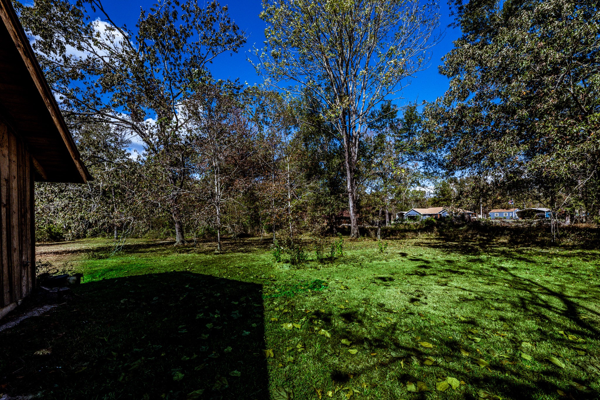 800 Farm To Market 980 Point Blank, TX 77364 - Photo 39 of 43