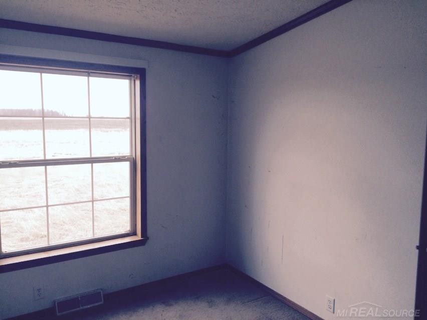 4790 Hunt Road Deckerville, MI 48427 - Photo 7 of 9 Gallery Image 7