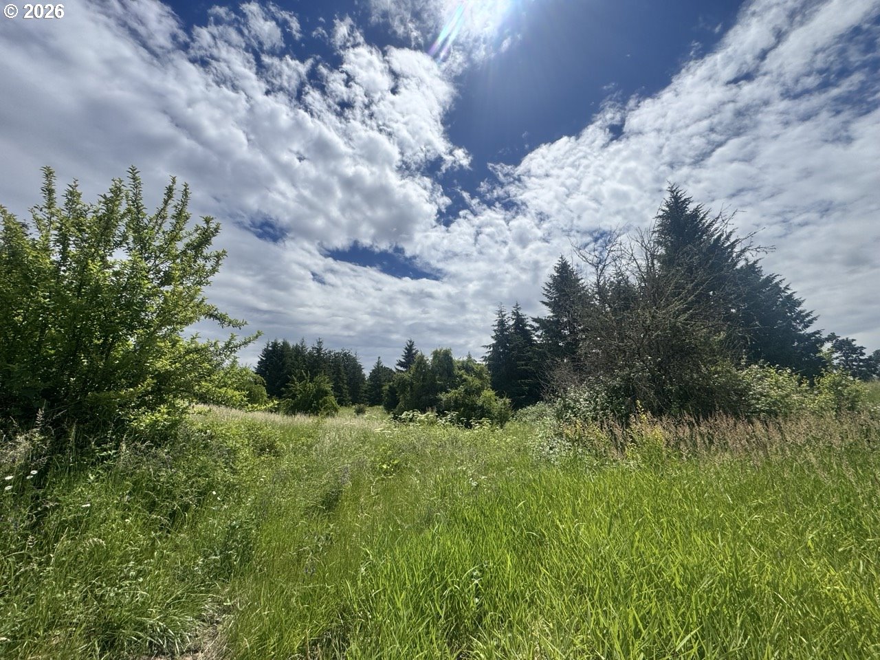 0 Southwest Spring Hill Road Gaston, OR 97119 - Photo 16 of 16 Gallery Image 16