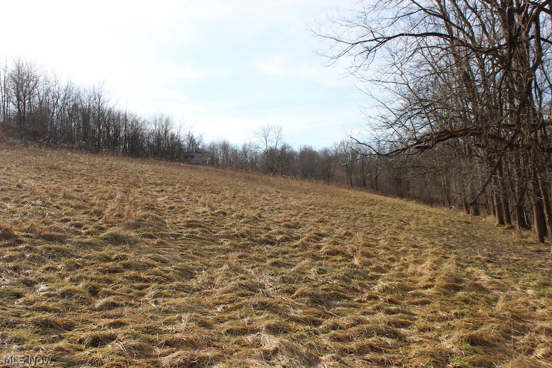 74050 Henderson Ridge Road Cadiz, OH 43907 - Photo 11 of 34 Gallery Image 11