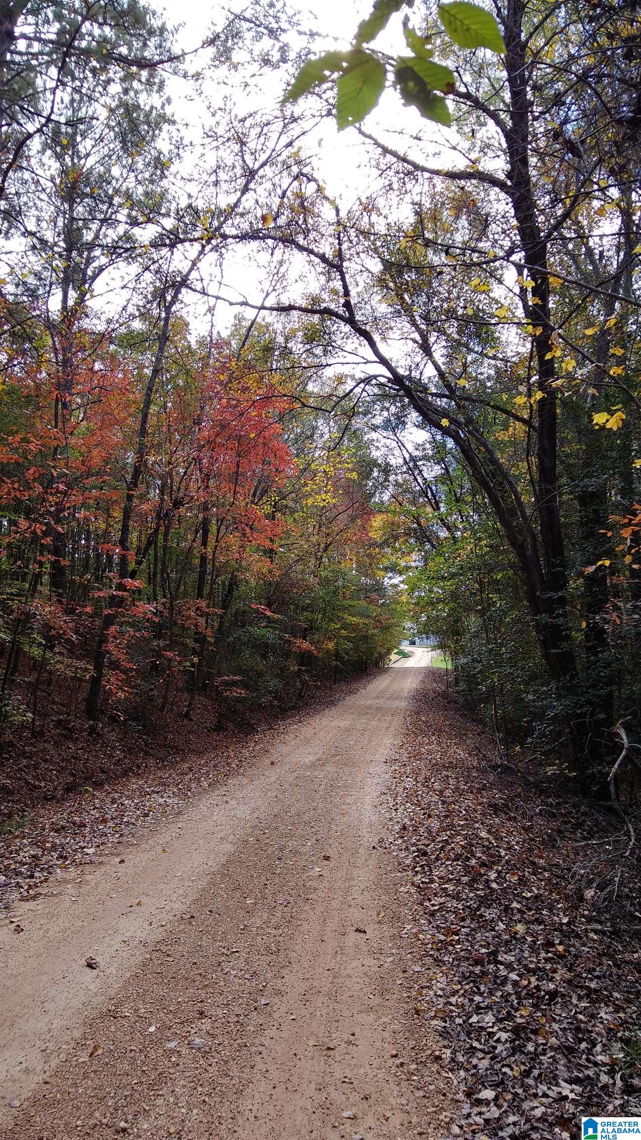 624 Sexton Road Fayette, AL 35555 - Photo 47 of 50