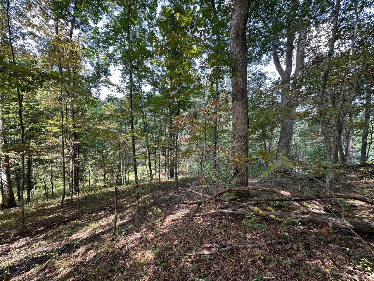 18 A Hall Road Grayson, KY 41143 - Photo 21 of 77 Gallery Image 21