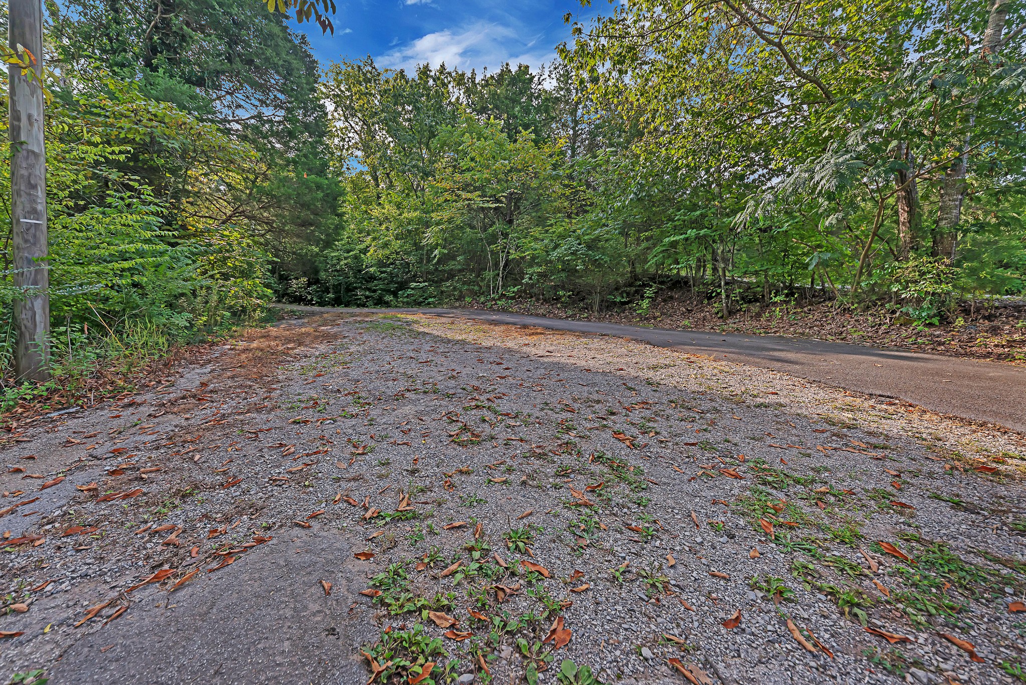 822 Deaderick Road Knoxville, TN 37920 - Photo 7 of 24 Gallery Image 7