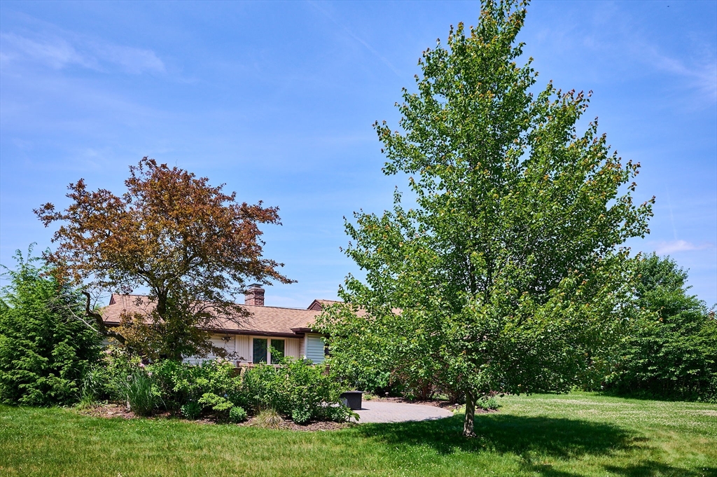 985 Tinkham Road Wilbraham, MA 01095 - Photo 21 of 27 a view of a house with a yard