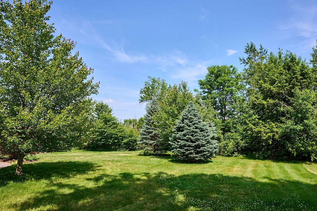 985 Tinkham Road Wilbraham, MA 01095 - Photo 26 of 27 a view of a grassy field with trees
