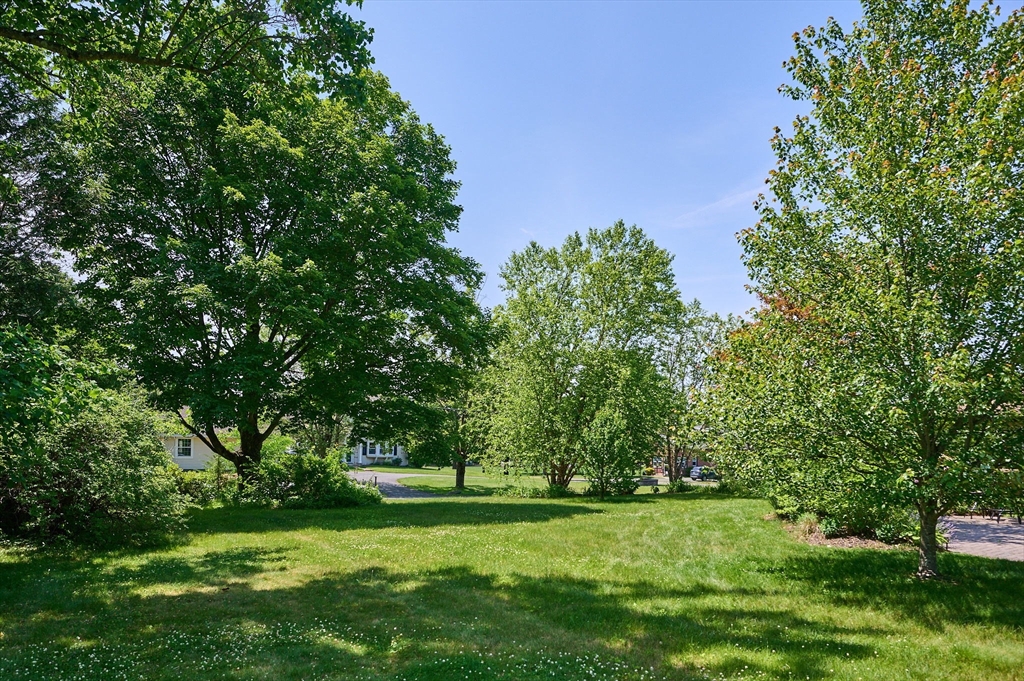985 Tinkham Road Wilbraham, MA 01095 - Photo 27 of 27 a green field with lots of trees in it