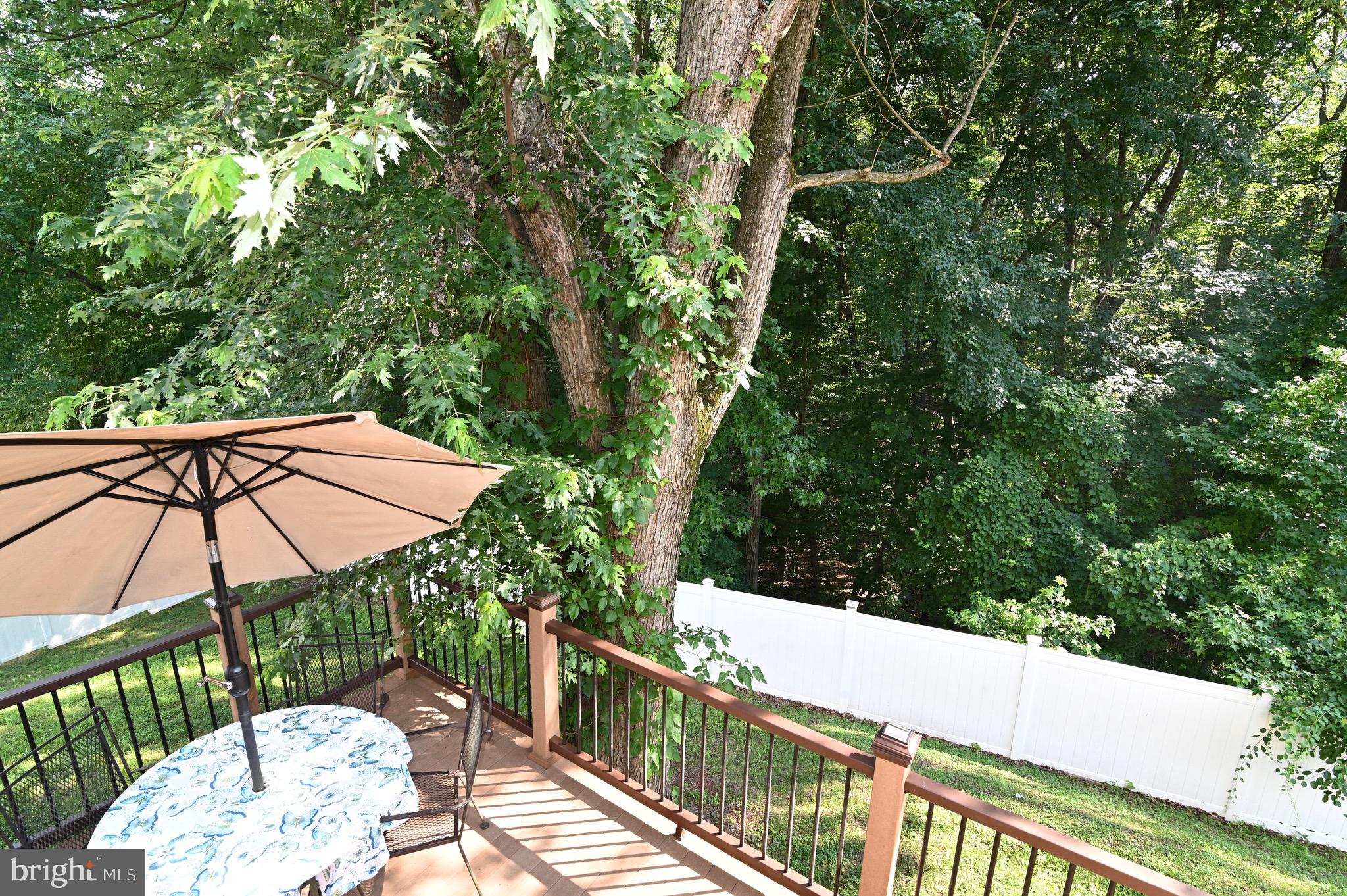 3407 Wayneswood Road Fort Washington, MD 20744 - Photo 58 of 70 a view of a balcony and wooden floor