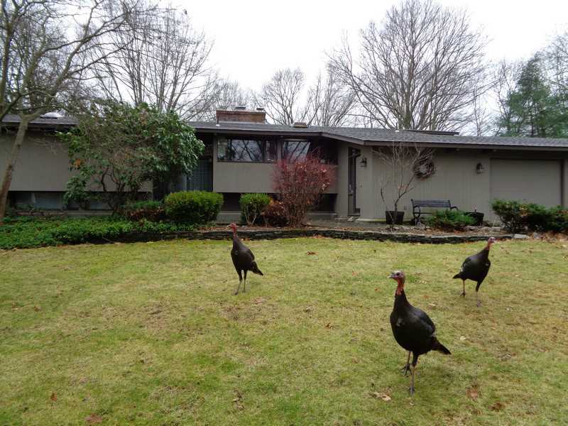 29 Pinetop Road Barrington, RI 02806 - Photo 2 of 24 Exterior Front.